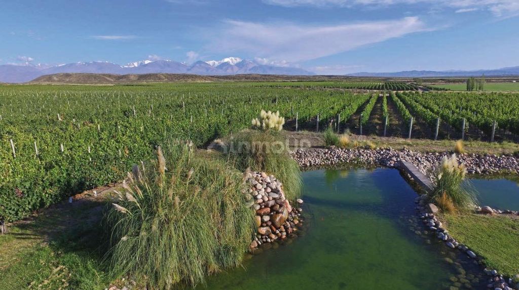 Lote en Venta en Tupungato, Mendoza