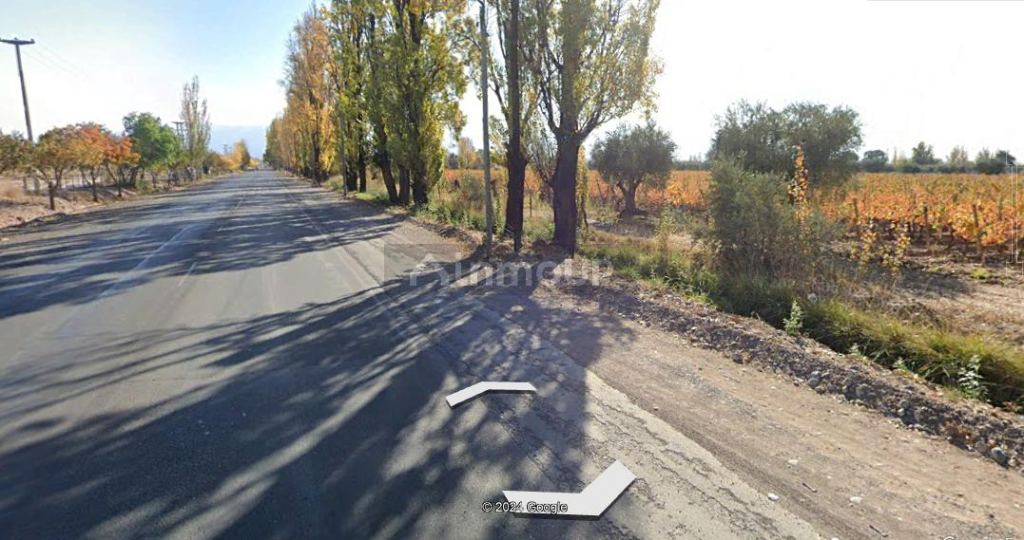 Finca en Venta en Maipu, Mendoza