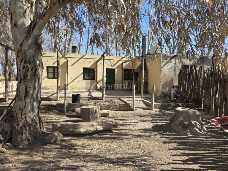 Finca en Venta en Santa Rosa, Mendoza