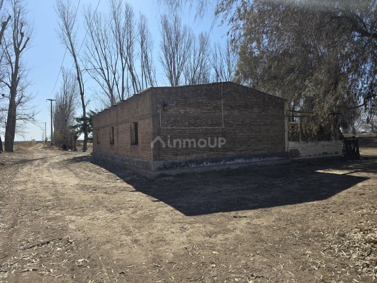 Finca en Venta en Santa Rosa, Mendoza