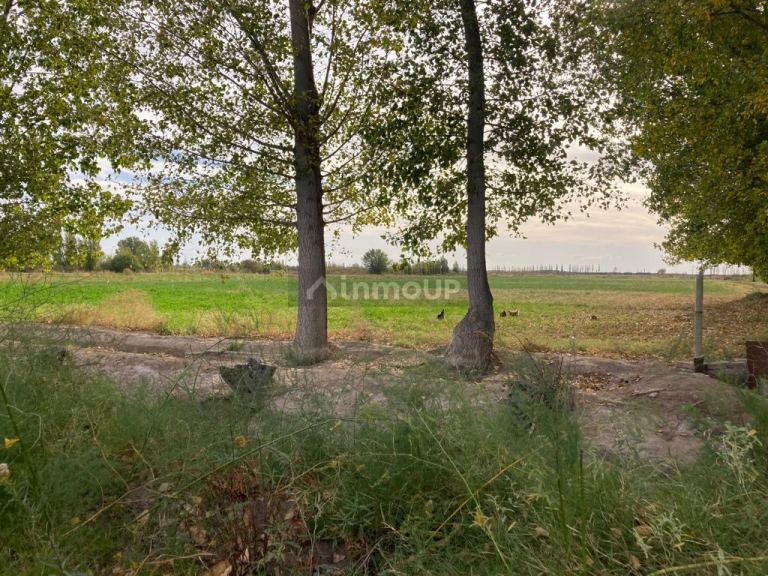 Finca en Venta en Santa Rosa, Mendoza
