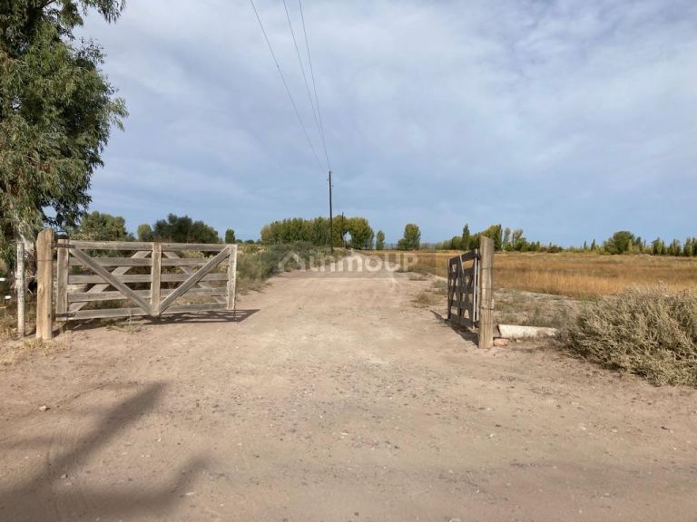 Finca en Venta en Santa Rosa, Mendoza
