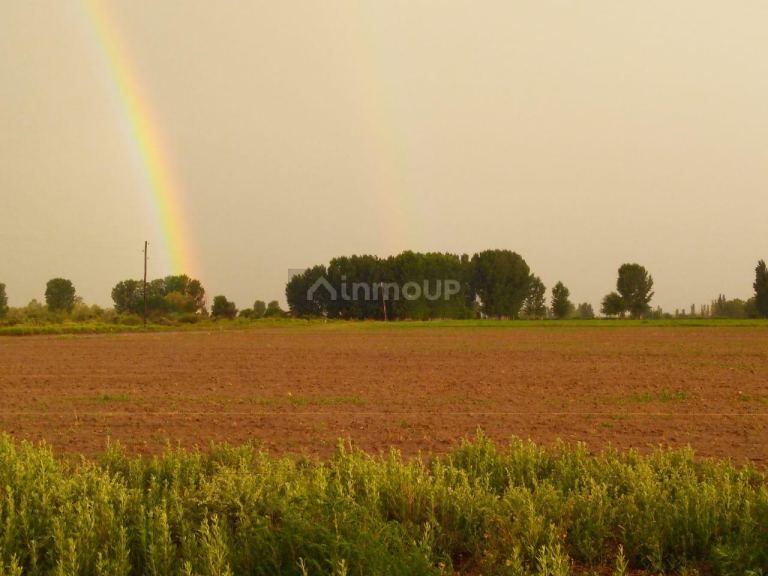 Finca en Venta en Santa Rosa, Mendoza