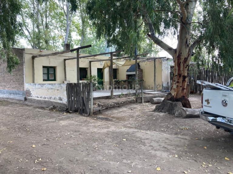 Finca en Venta en Santa Rosa, Mendoza
