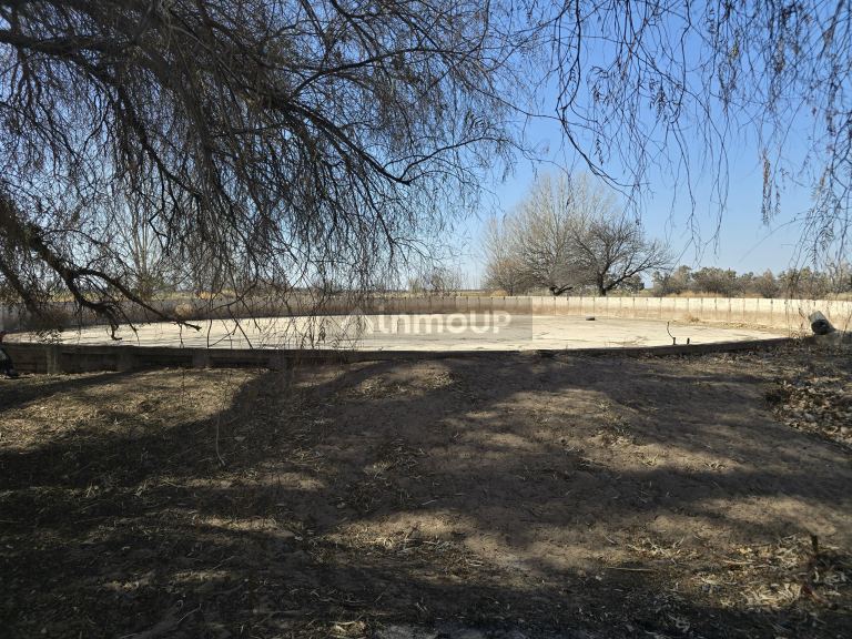 Finca en Venta en Santa Rosa, Mendoza