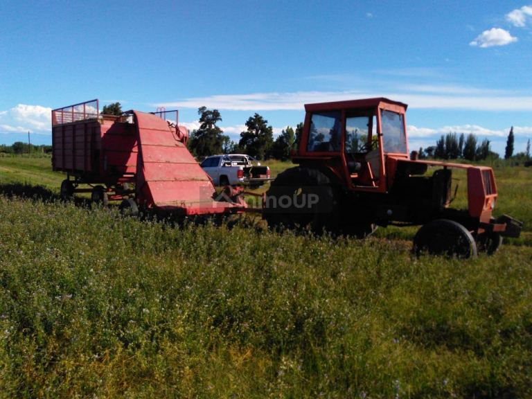 Finca en Venta en Santa Rosa, Mendoza