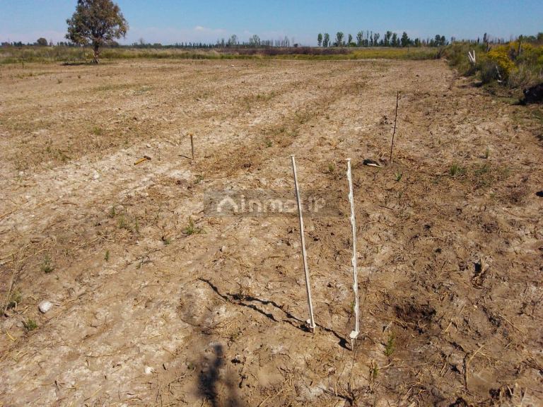 Finca en Venta en Santa Rosa, Mendoza