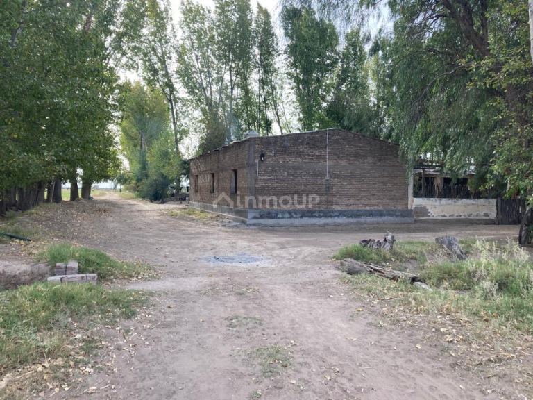 Finca en Venta en Santa Rosa, Mendoza
