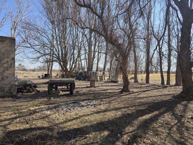 Finca en Venta en Santa Rosa, Mendoza