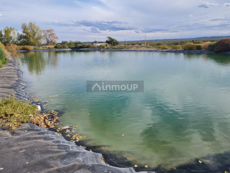 Finca en Venta en Lujan de Cuyo, Mendoza