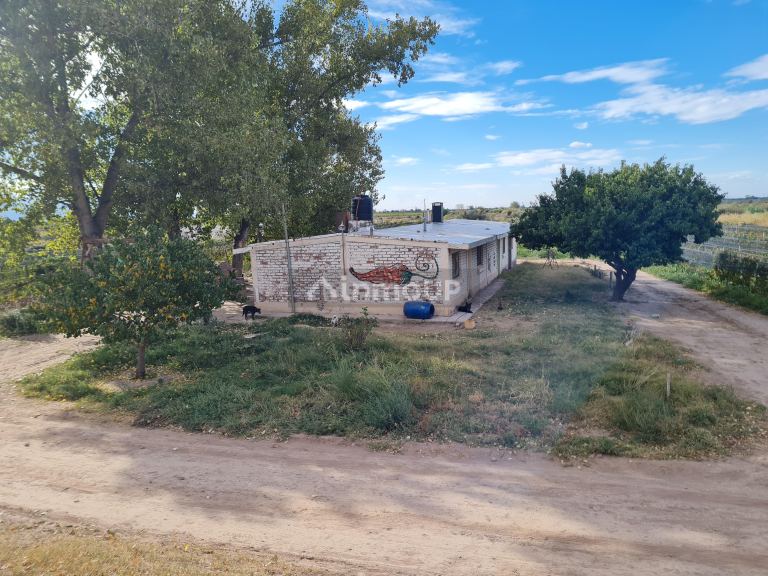 Finca en Venta en Lujan de Cuyo, Mendoza