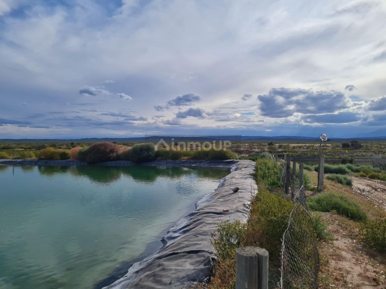 Finca en Venta en Lujan de Cuyo, Mendoza