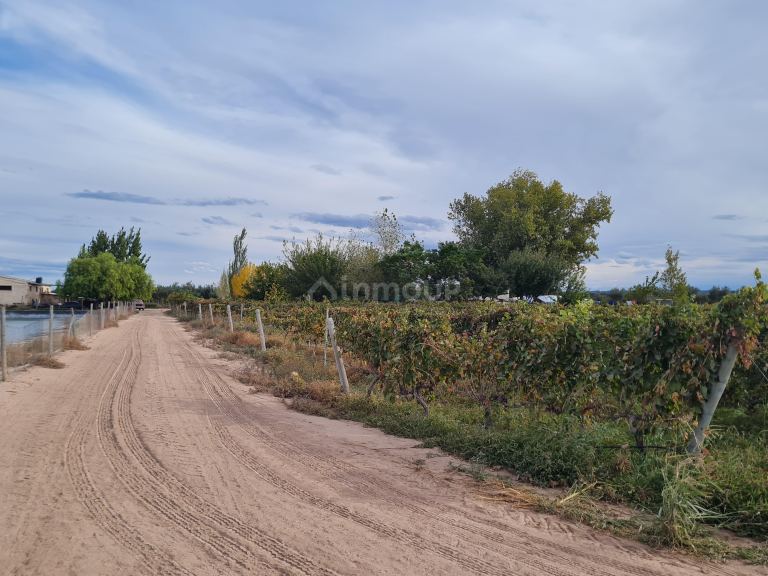 Finca en Venta en Lujan de Cuyo, Mendoza