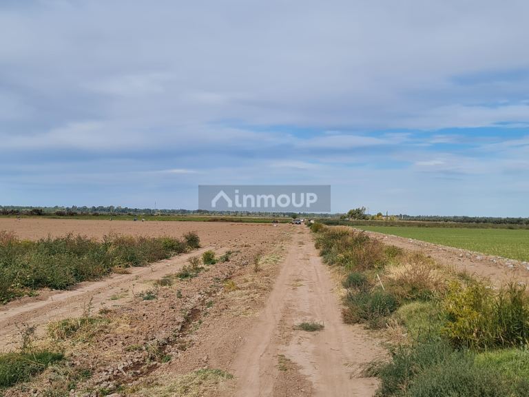 Finca en Venta en Lujan de Cuyo, Mendoza