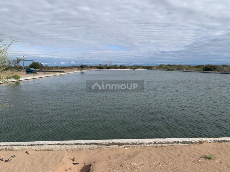 Campo en Venta en San Martin, Mendoza