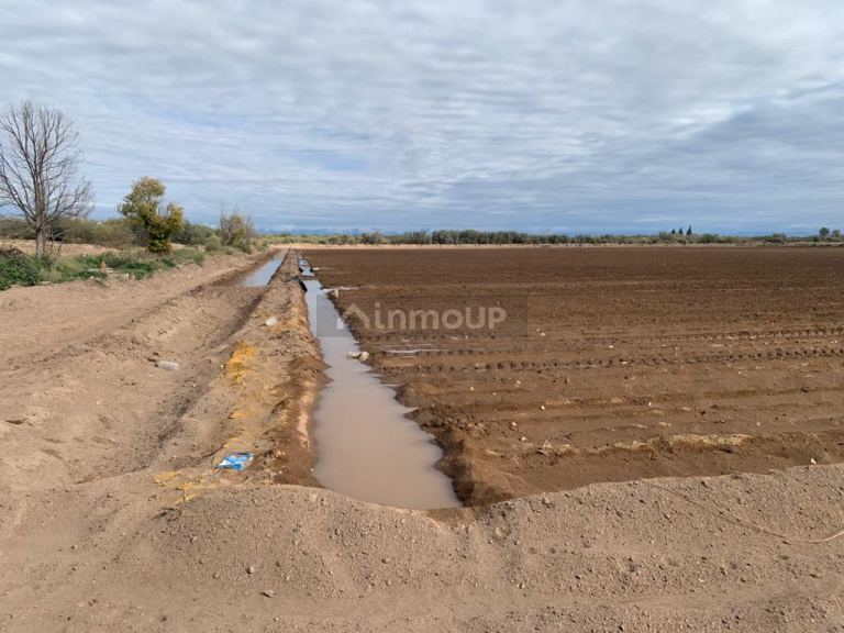 Campo en Venta en San Martin, Mendoza