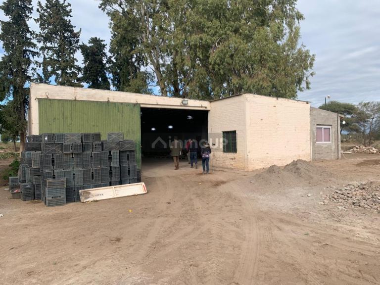 Campo en Venta en San Martin, Mendoza
