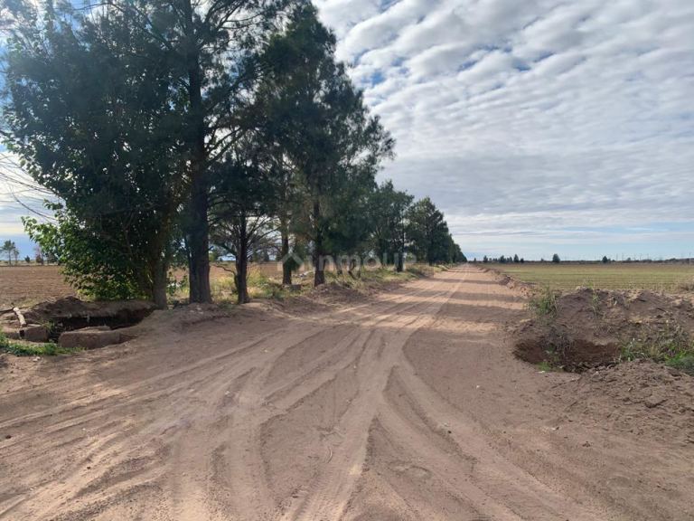 Campo en Venta en San Martin, Mendoza