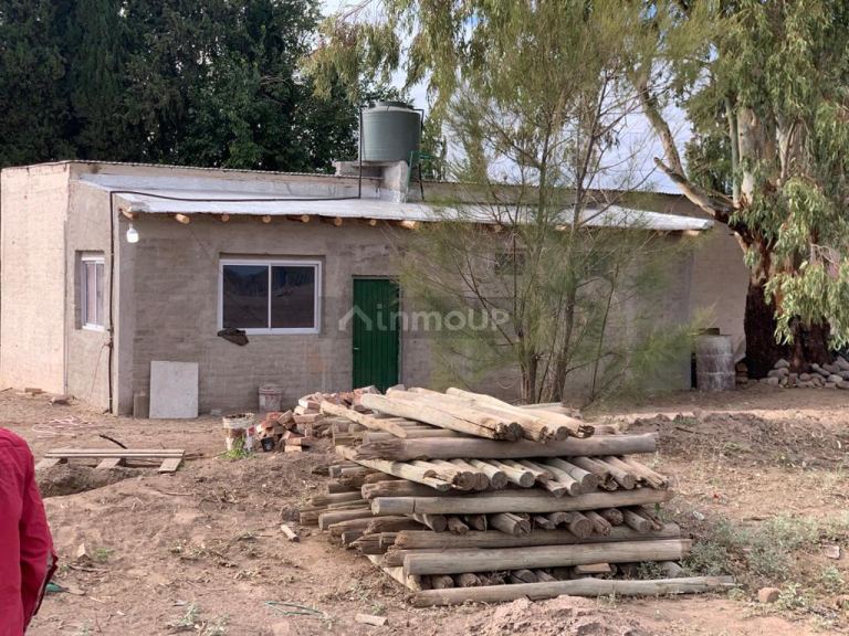 Campo en Venta en San Martin, Mendoza