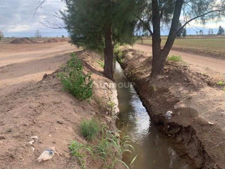 Campo en Venta en San Martin, Mendoza