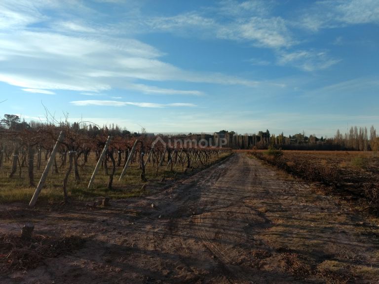 Finca en Venta en Lujan de Cuyo, Mendoza