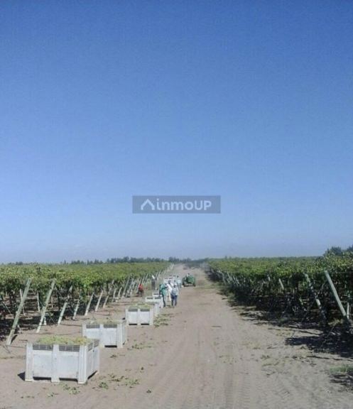 Finca en Venta en San Martin, Mendoza