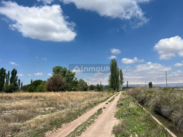 Finca en Venta en Lujan de Cuyo, Mendoza