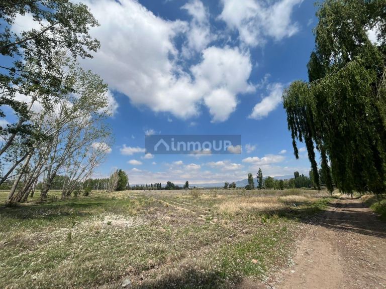 Finca en Venta en Lujan de Cuyo, Mendoza