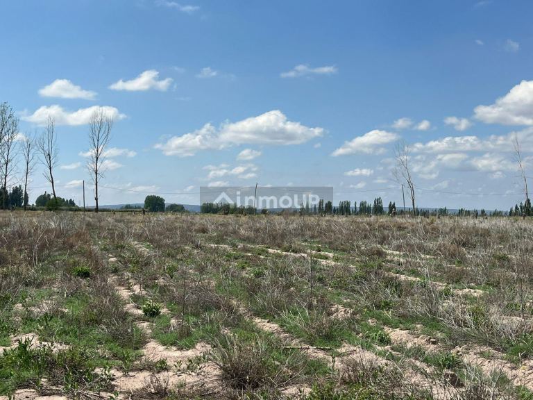 Finca en Venta en Lujan de Cuyo, Mendoza
