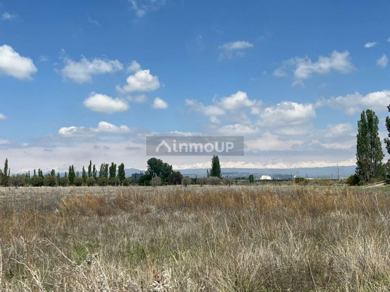 Finca en Venta en Lujan de Cuyo, Mendoza