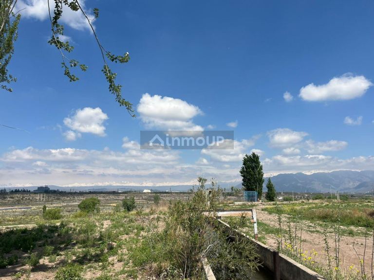 Finca en Venta en Lujan de Cuyo, Mendoza
