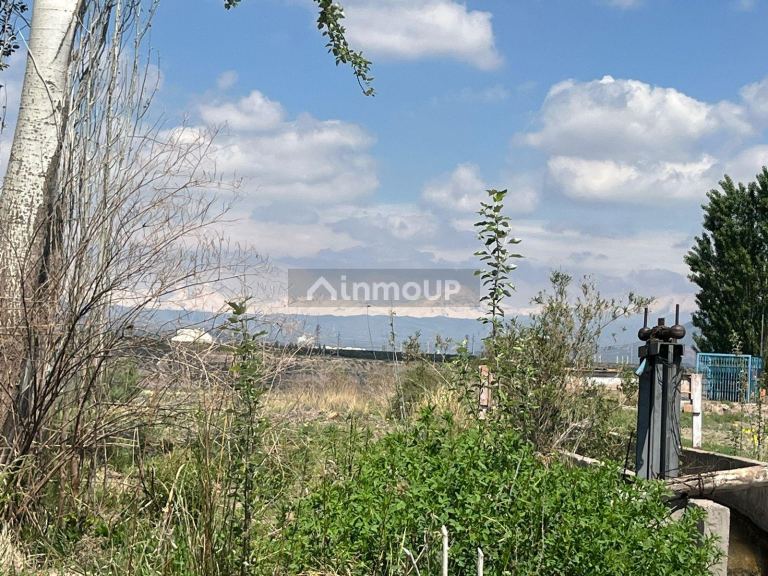 Finca en Venta en Lujan de Cuyo, Mendoza
