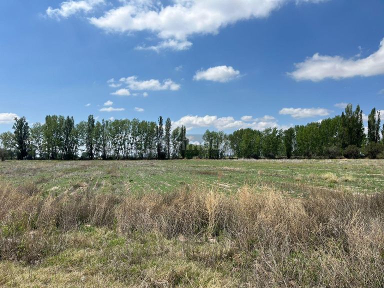 Finca en Venta en Lujan de Cuyo, Mendoza