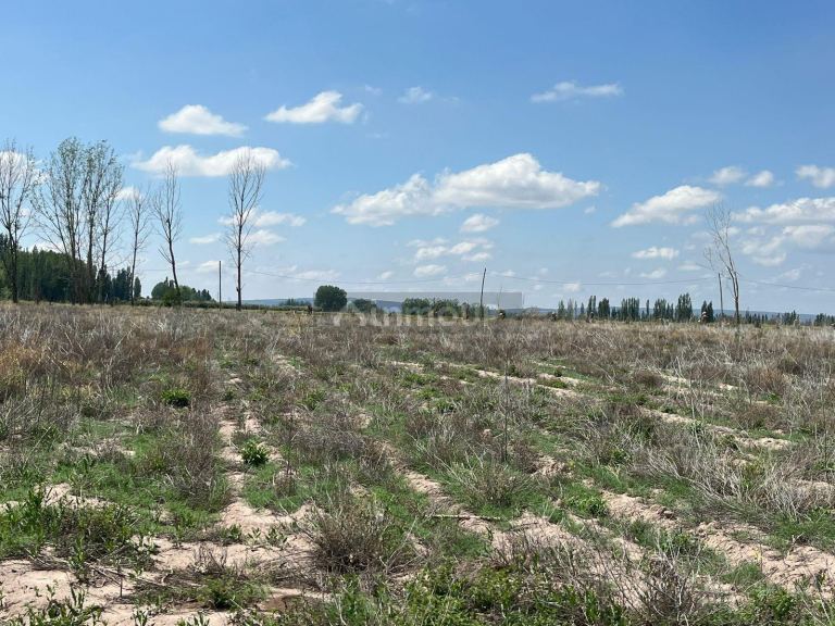 Finca en Venta en Lujan de Cuyo, Mendoza
