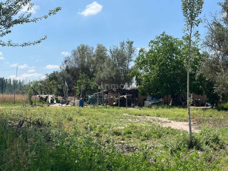 Finca en Venta en Lujan de Cuyo, Mendoza