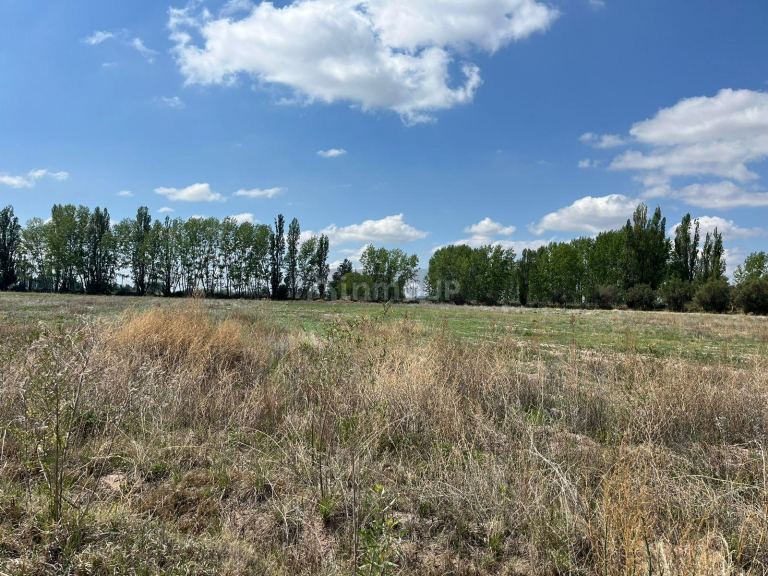 Finca en Venta en Lujan de Cuyo, Mendoza