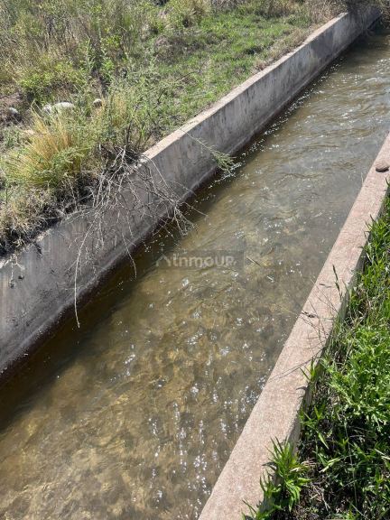 Finca en Venta en Lujan de Cuyo, Mendoza