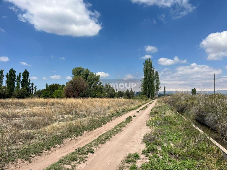 Finca en Venta en Lujan de Cuyo, Mendoza
