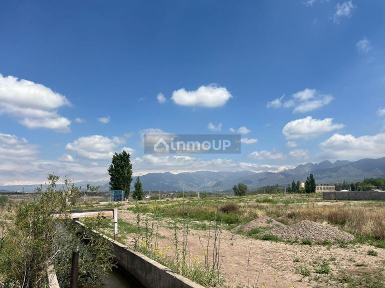 Finca en Venta en Lujan de Cuyo, Mendoza