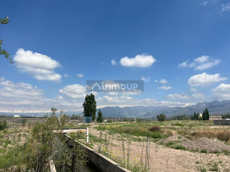 Finca en Venta en Lujan de Cuyo, Mendoza