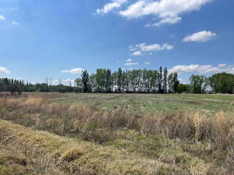 Finca en Venta en Lujan de Cuyo, Mendoza