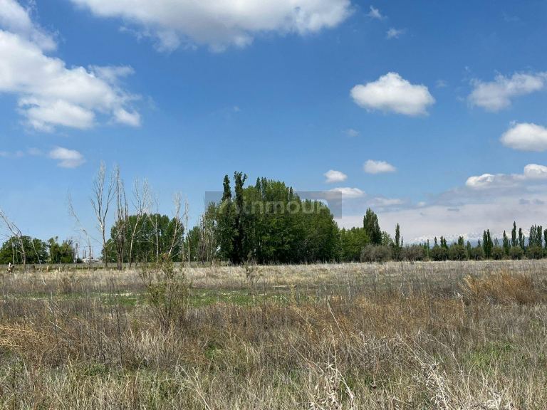 Finca en Venta en Lujan de Cuyo, Mendoza