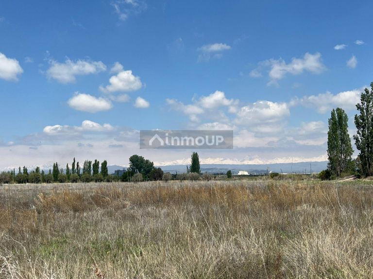 Finca en Venta en Lujan de Cuyo, Mendoza