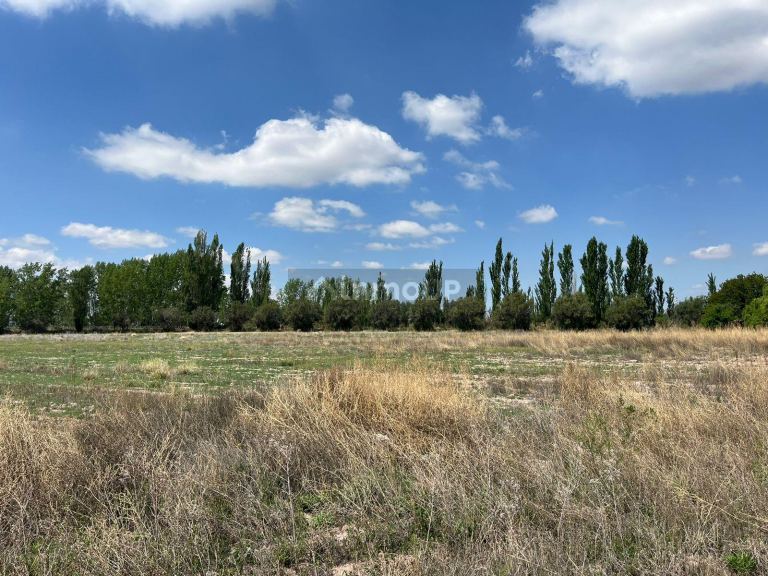 Finca en Venta en Lujan de Cuyo, Mendoza