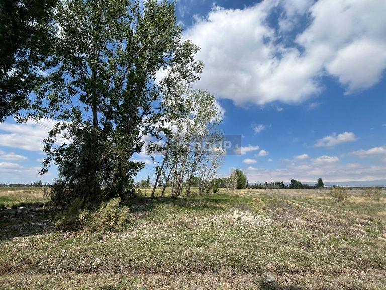 Finca en Venta en Lujan de Cuyo, Mendoza