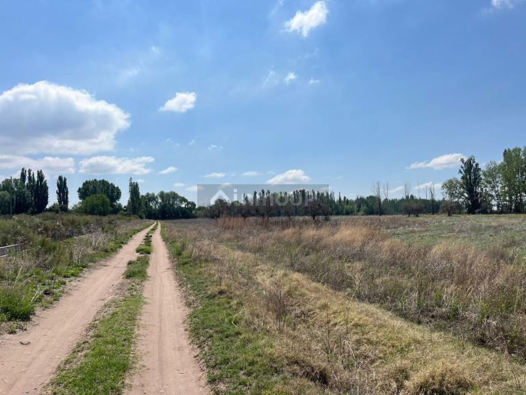 Finca en Venta en Lujan de Cuyo, Mendoza