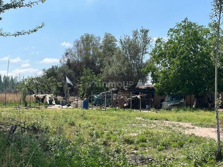 Finca en Venta en Lujan de Cuyo, Mendoza