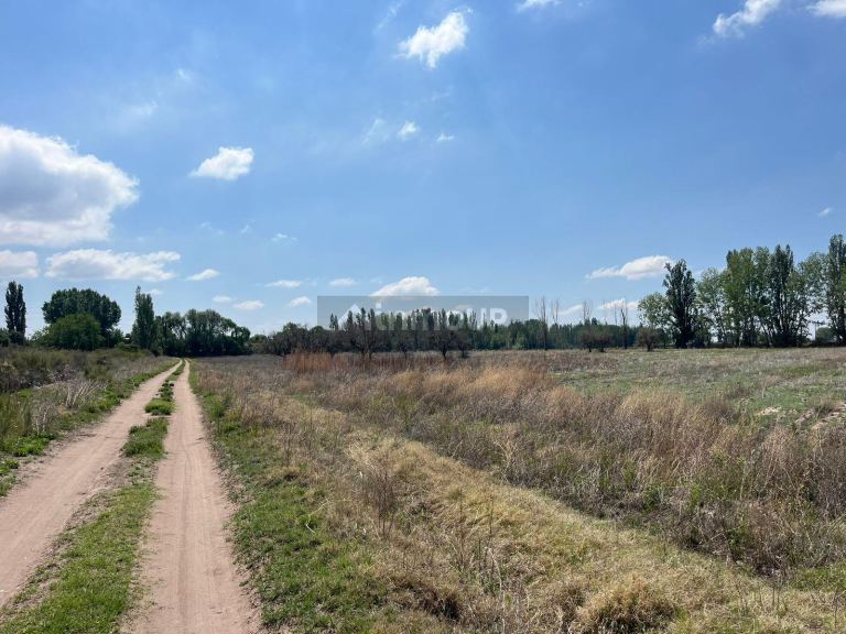 Finca en Venta en Lujan de Cuyo, Mendoza