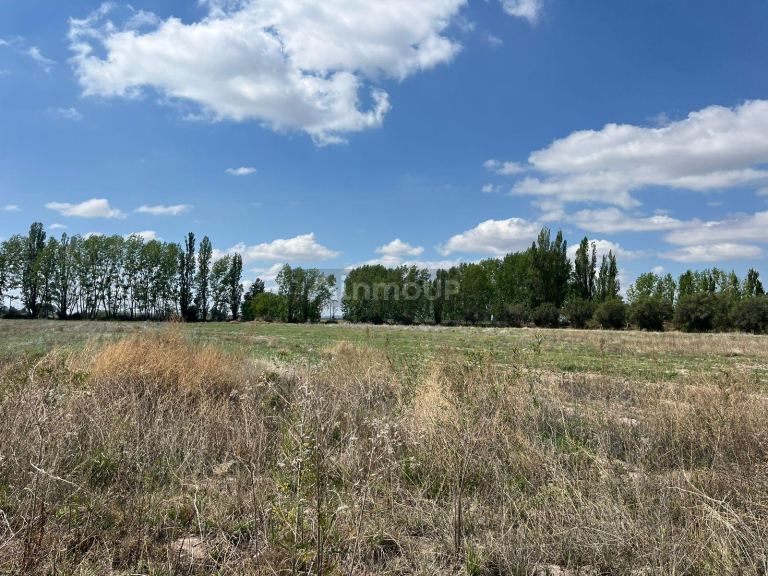 Finca en Venta en Lujan de Cuyo, Mendoza