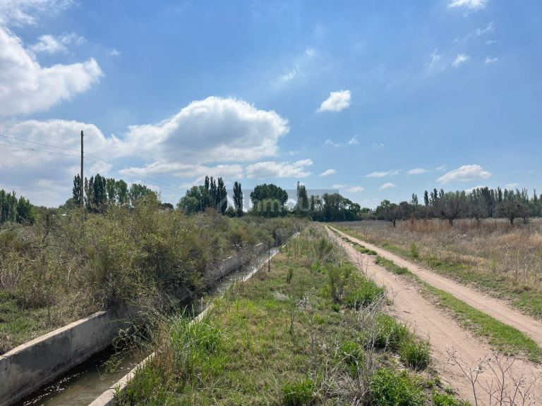 Finca en Venta en Lujan de Cuyo, Mendoza